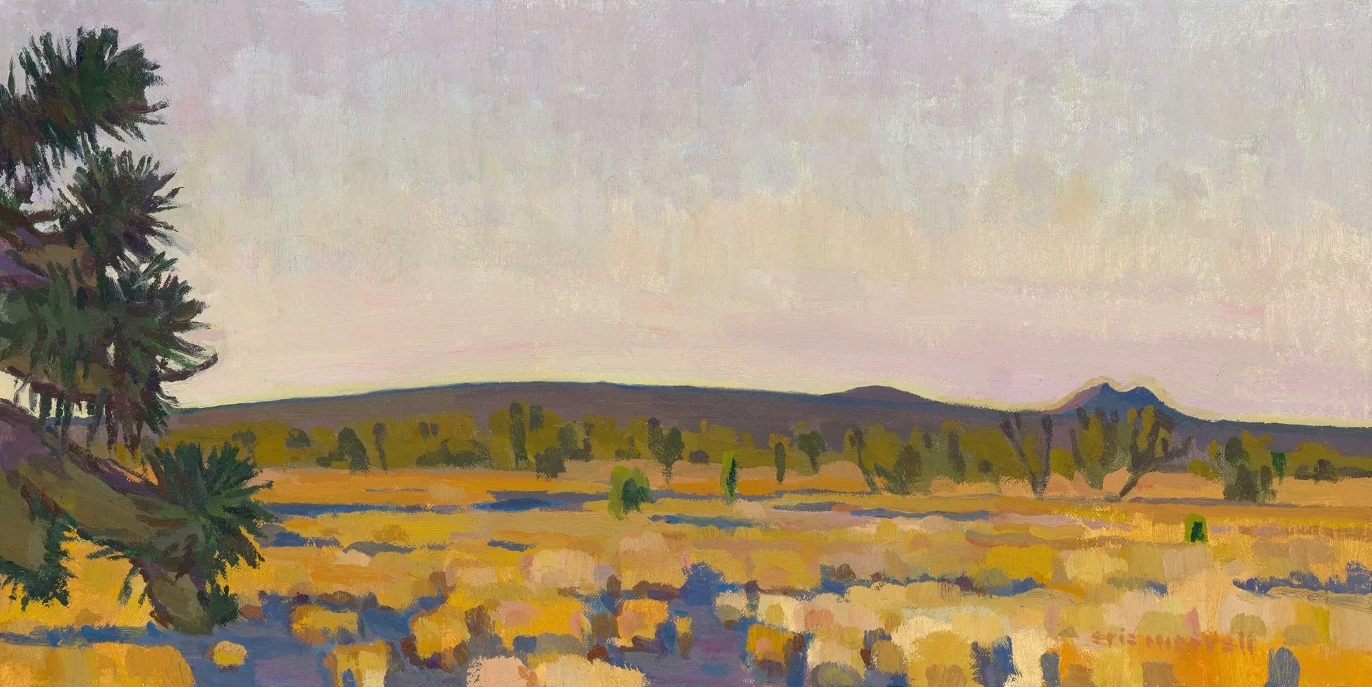 Hey There Projects - DesertLand — Eric Merrell